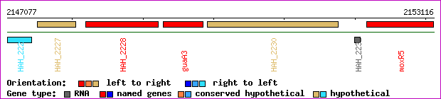 gene map