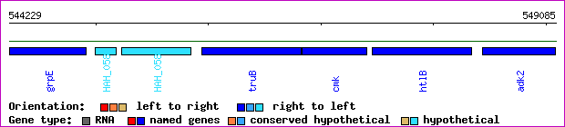 gene map