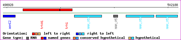 gene map