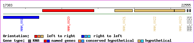 gene map