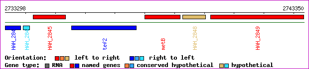 gene map