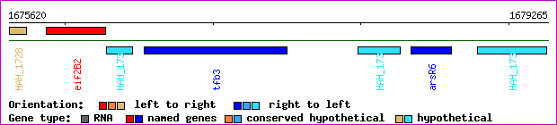 gene map