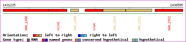 gene map