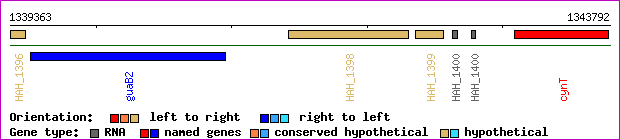 gene map