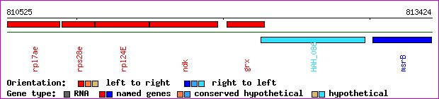 gene map
