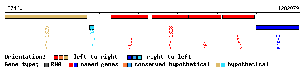 gene map