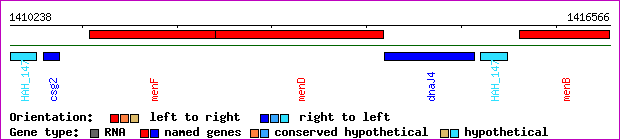 gene map