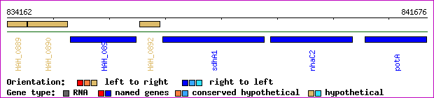 gene map