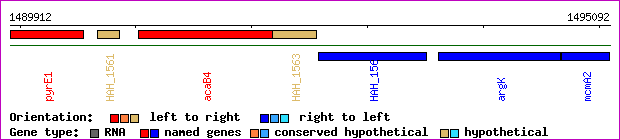 gene map