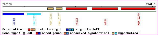 gene map