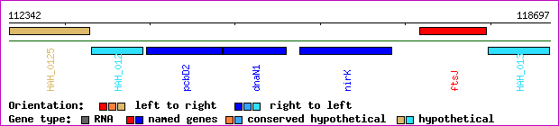 gene map