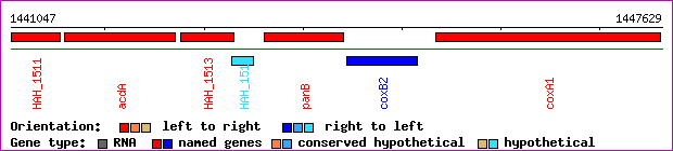 gene map