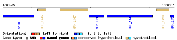 gene map