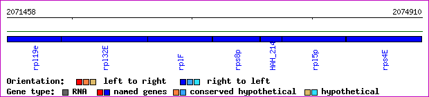 gene map