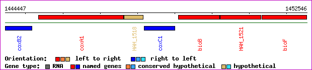 gene map