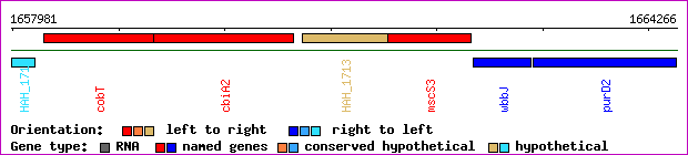 gene map