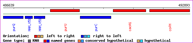 gene map