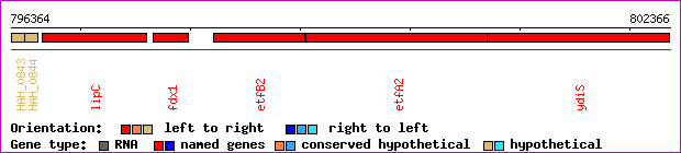 gene map