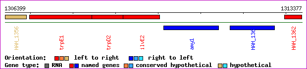 gene map