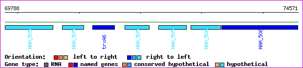 gene map