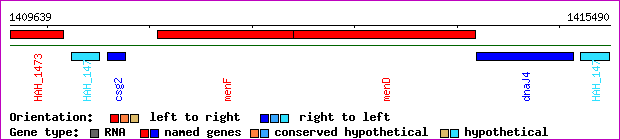 gene map