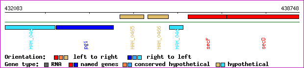 gene map