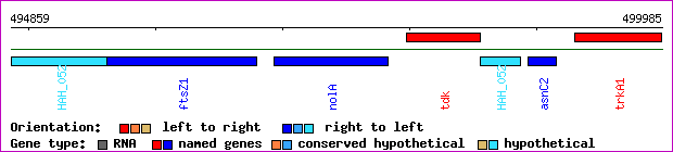 gene map
