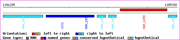 gene map