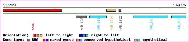 gene map