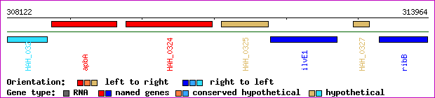 gene map