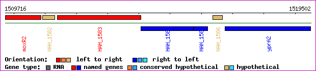 gene map