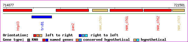 gene map