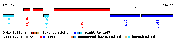 gene map
