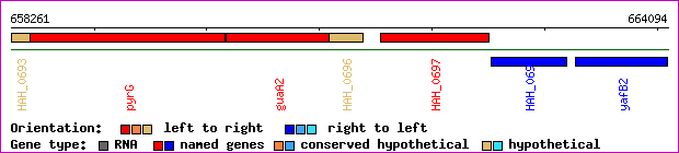 gene map