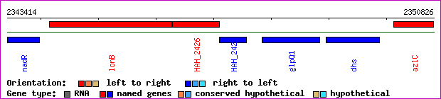 gene map