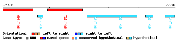 gene map