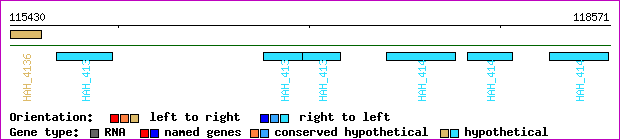gene map