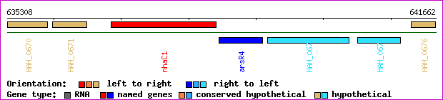 gene map