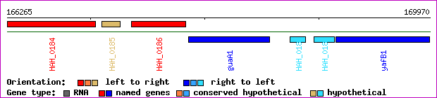 gene map