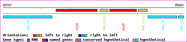 gene map