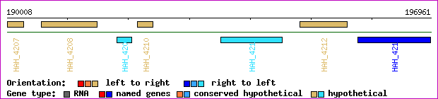 gene map
