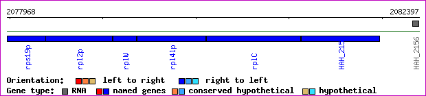 gene map
