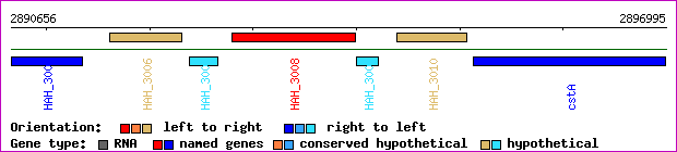 gene map