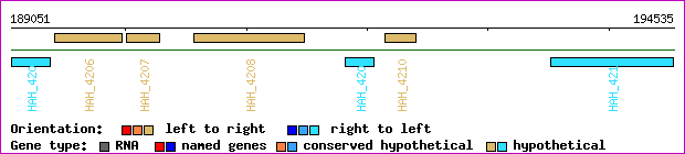 gene map