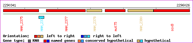 gene map