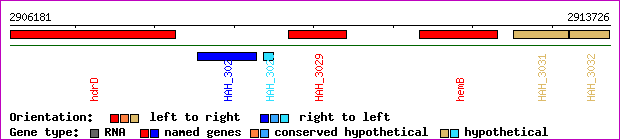 gene map