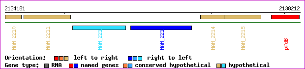 gene map