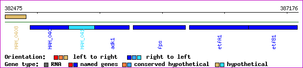 gene map