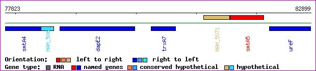 gene map