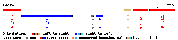 gene map